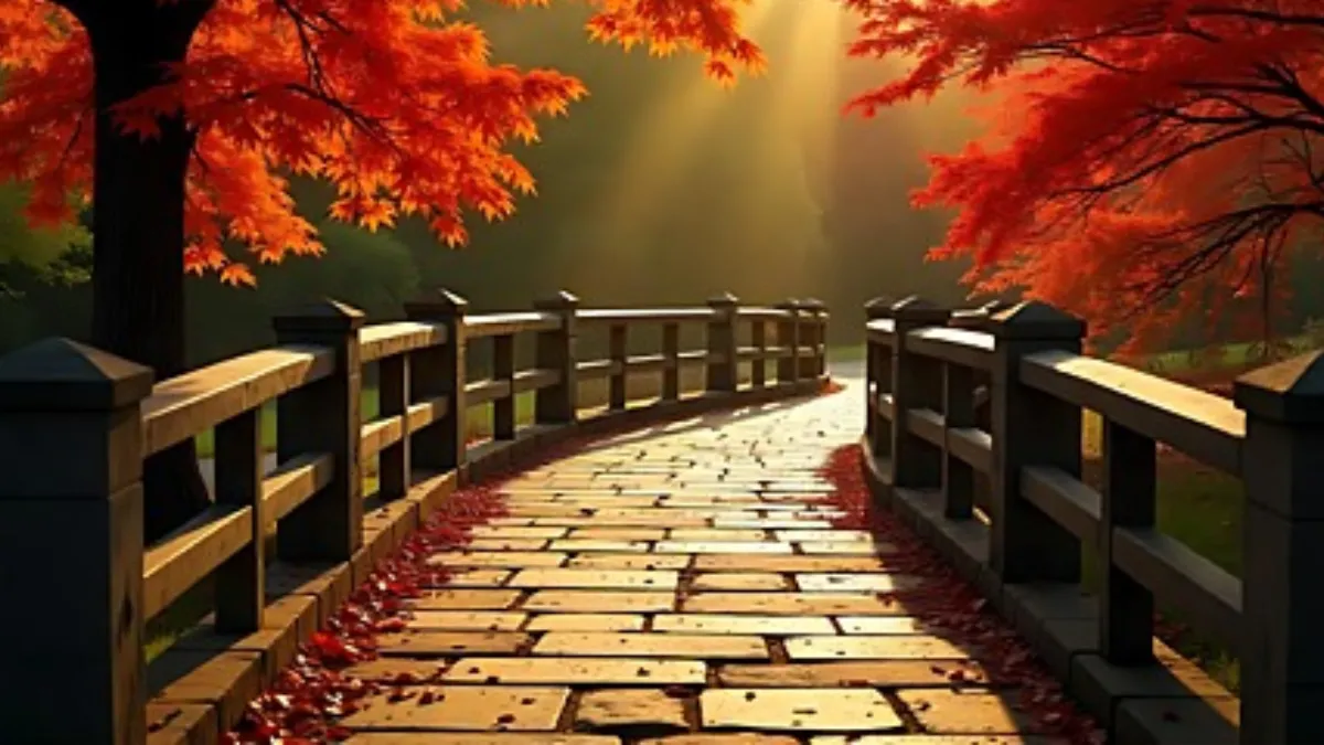 Forest Trails